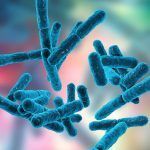 Consiente a tu microbiota